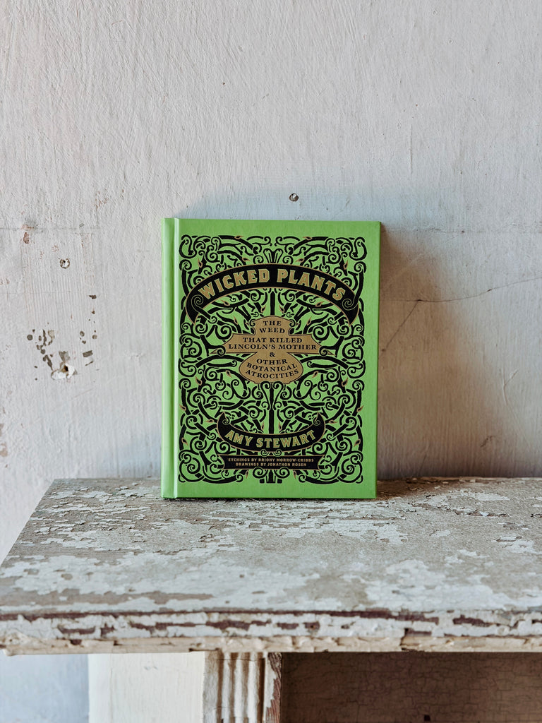 Wicked Plants – Patina Vie