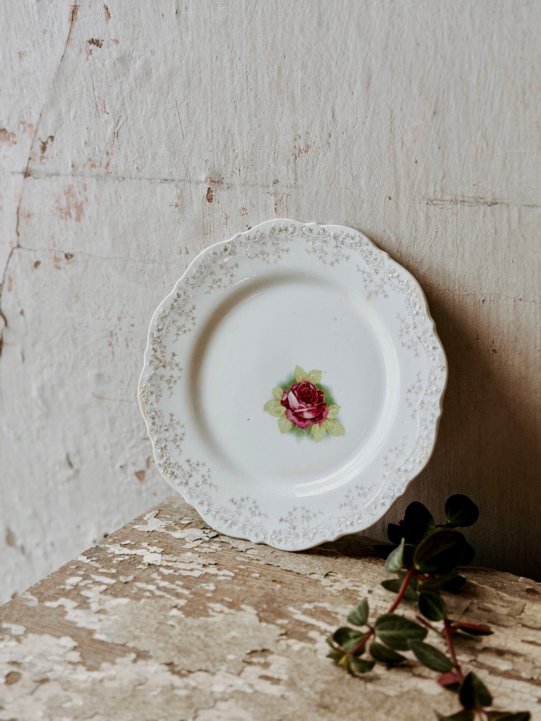 Vintage Plates – Patina Vie
