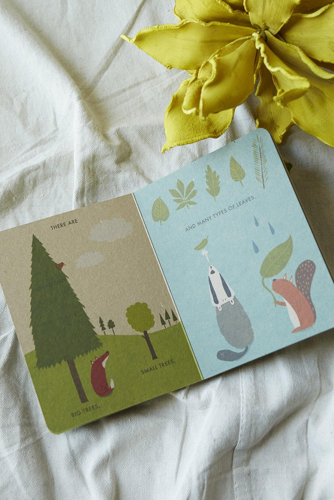 My Little Forest (A Natural World Board Book) - Patina Vie