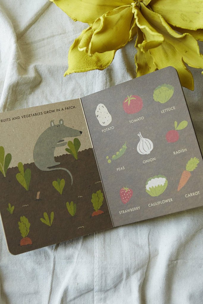 My Little Garden (A Natural World Board Book) - Patina Vie