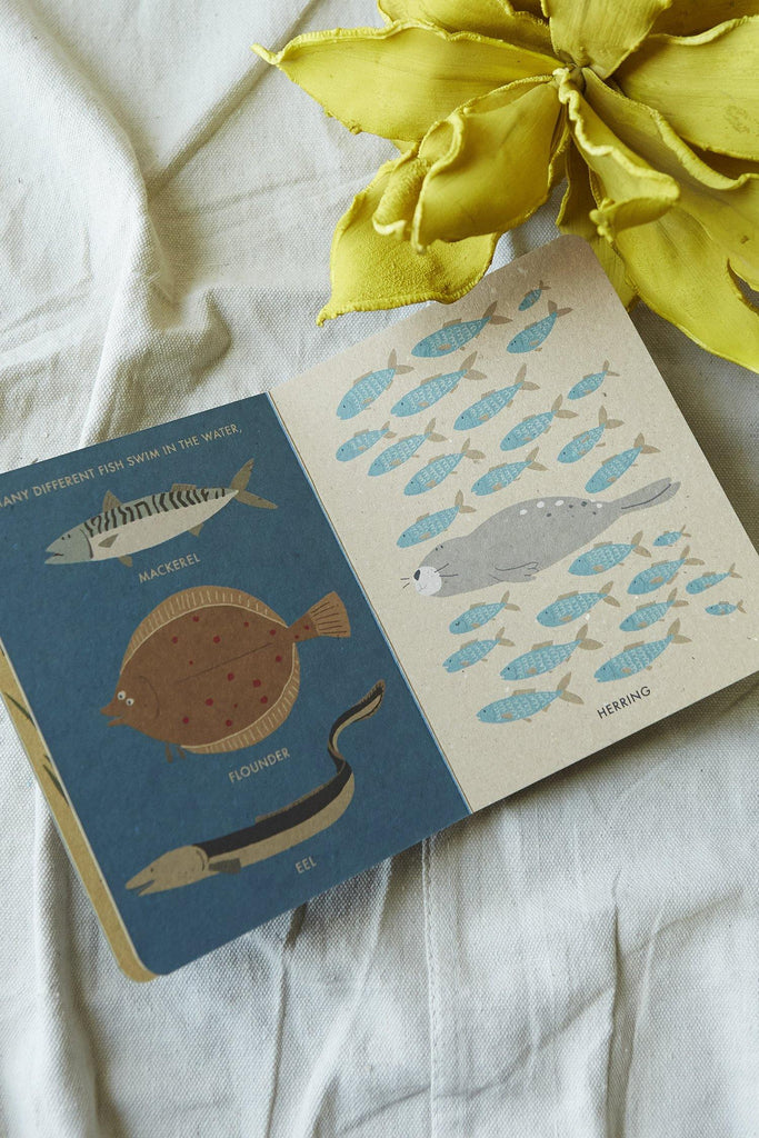 My Little Ocean (A Natural World Board Book) - Patina Vie