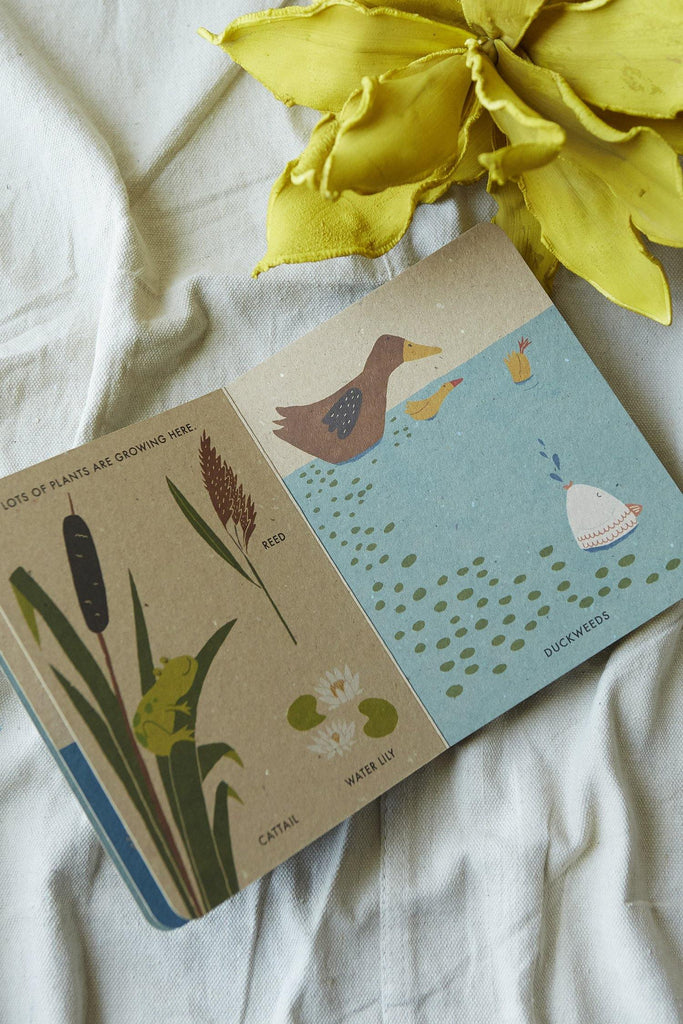 My Little Pond (A Natural World Board Book) - Patina Vie