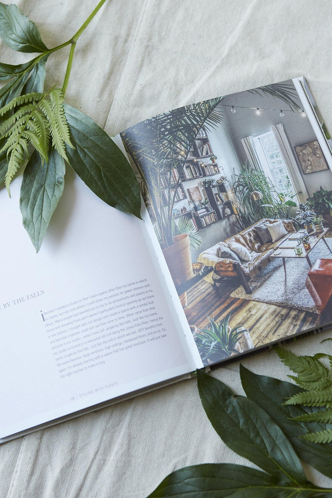 Wild at Home: How to style and care for beautiful plants - Patina Vie